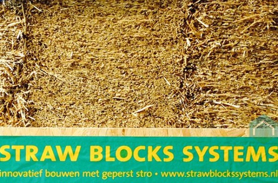 rawblox systems
