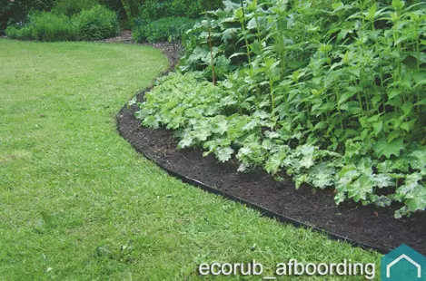 ecorubberboom