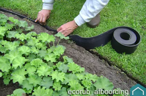 ecorubberboom