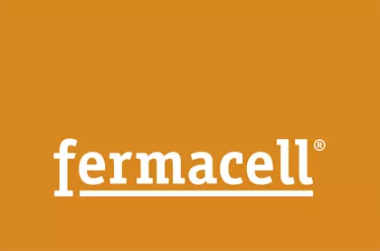 fermacell producent
