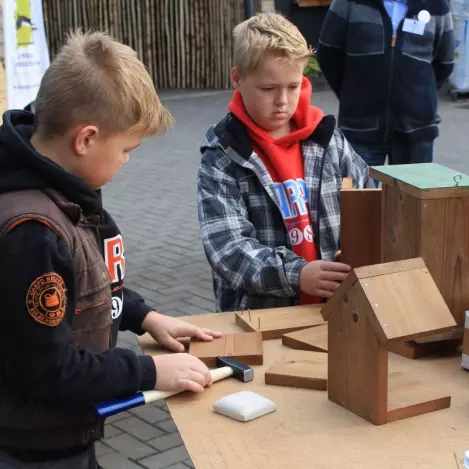 ecomat belevingen