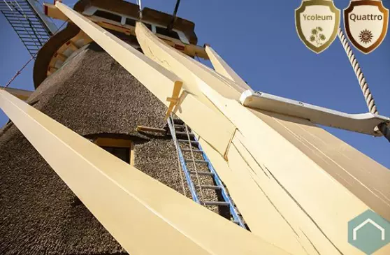 lijnolieverf : de verf van het verleden en vooral de toekomst