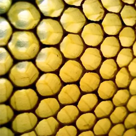 nieuwe huisstijl: honingraat