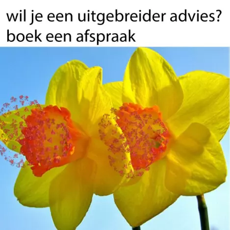 ecomat bezoeken voor advies? afspraakje maken!
