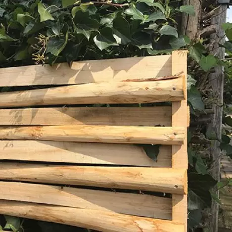 moestuinborders