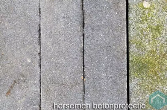 horsemen bescherming voor steen & hout