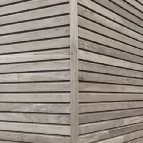 thermowood populier