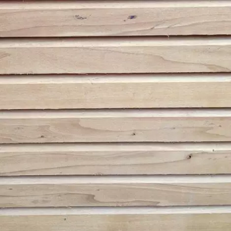 thermowood populier