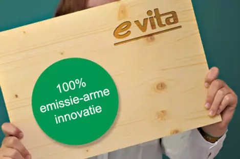 e-vita è bella