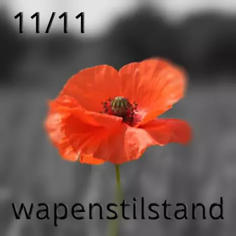 wapenstilstand