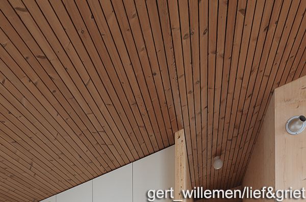 Fitness Wat dan ook Dictatuur houten wanden & plafonds - Producten | Ecomat
