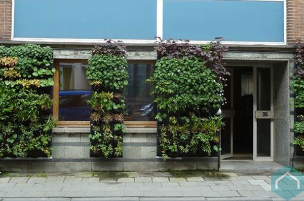 muurtuin